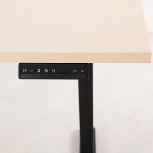 Ergonomic Electric Standing Height Adjustable Desk - Rug Decor