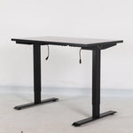 Load image into Gallery viewer, Ergonomic Electric Standing Height Adjustable Desk - Rug Decor
