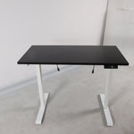 Load image into Gallery viewer, Ergonomic Electric Standing Height Adjustable Desk - Rug Decor
