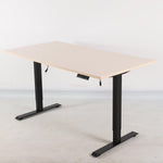 Load image into Gallery viewer, Ergonomic Electric Standing Height Adjustable Desk NZ
